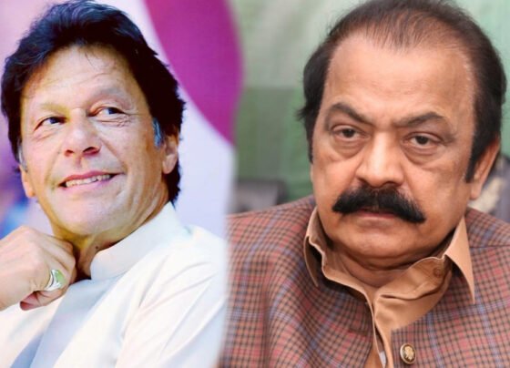 RANA SANA