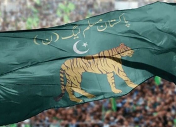 pmln flag