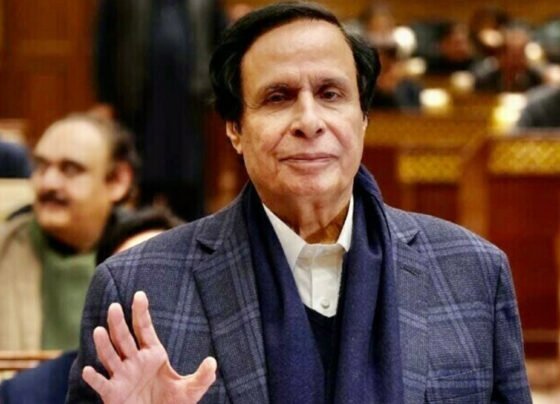 Pervez elahi