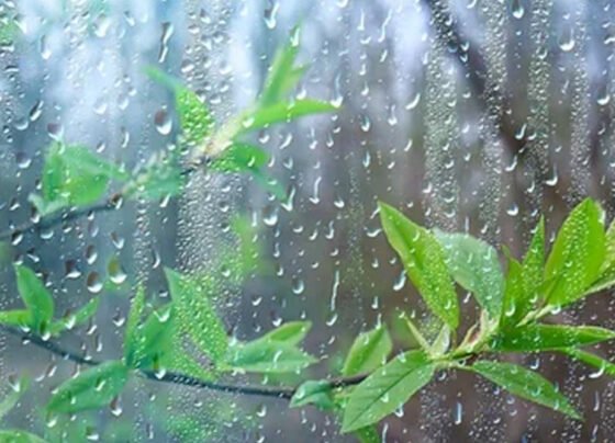 RAIN IN Pakistan