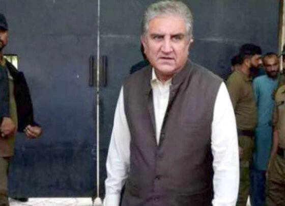 Shah mehmood qureshi