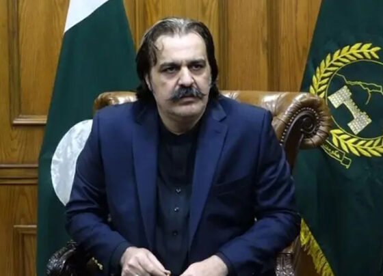 ali amin gandapur