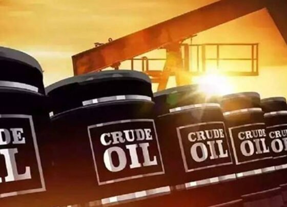 Oil