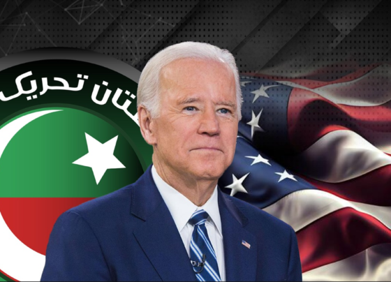 usa pti